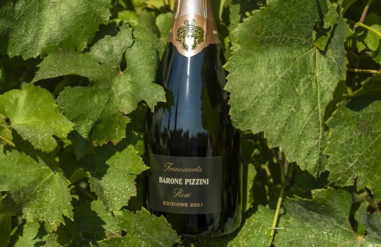 Bottiglia scura di Franciacorta Barone Pizzini Rosé Edizione 2021 con capsula ramata tra foglie di vite verdi al sole